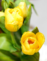 Similar image 1157084