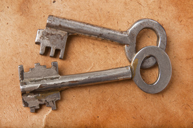 Similar image 1157089