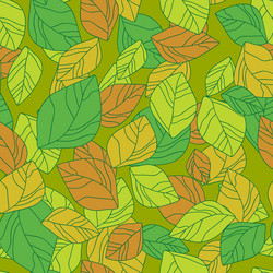 Similar image 1157134