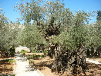 Similar image 1157140