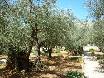 Similar image 1157141