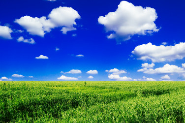 Similar image 1157215