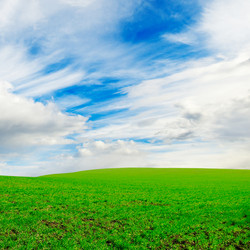 Similar image 1157220