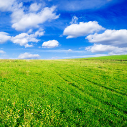 Similar image 1157221