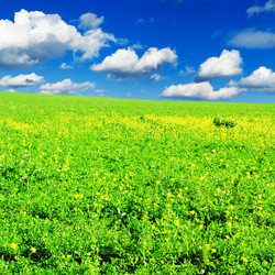 Similar image 1157223