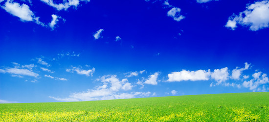 Similar image 1157231