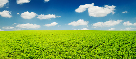 Similar image 1157235