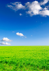 Similar image 1157238