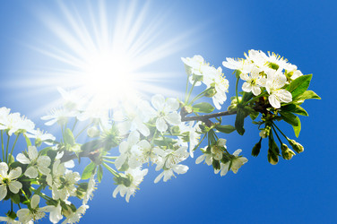 Similar image 1157254