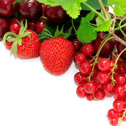 Similar image 1157259