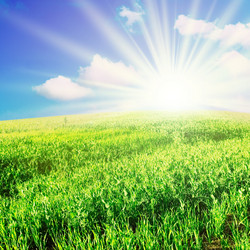 Similar image 1157261