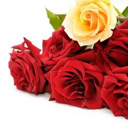 Similar image 1157266