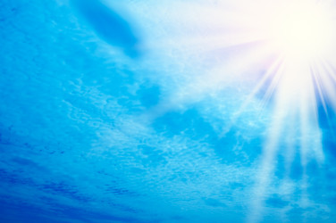 Similar image 1157269