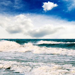 Similar image 1157281