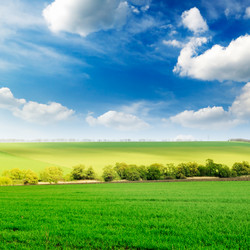 Similar image 1157293