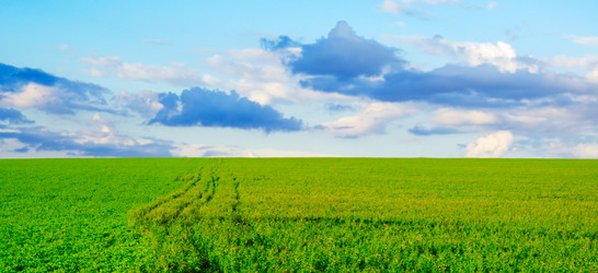 Similar image 1157300