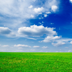 Similar image 1157302