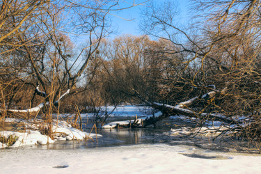 Similar image 1157303