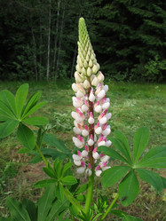 Similar image 1157304