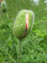 Similar image 1157306