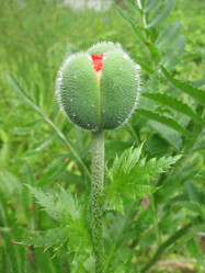 Similar image 1157307