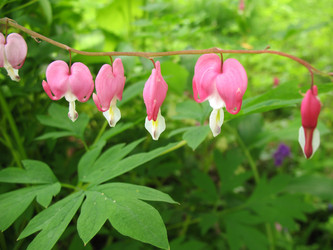 Similar image 1157316