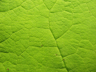 Similar image 1157317