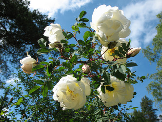 Similar image 1157318