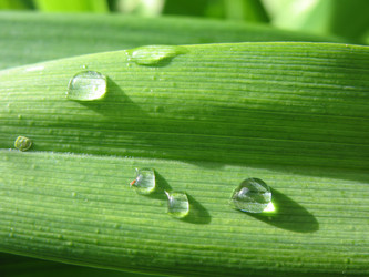 Similar image 1157319