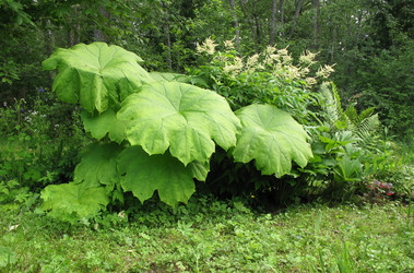 Similar image 1157320