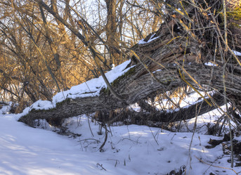 Similar image 1157323