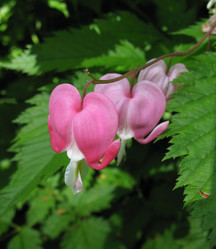 Similar image 1157330