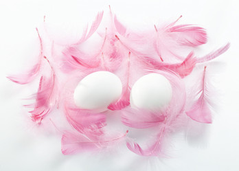 Similar image 1157331