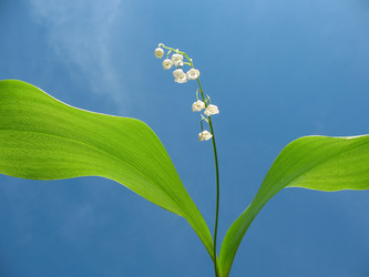 Similar image 1157332