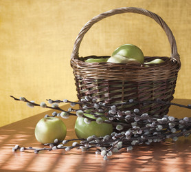 Similar image 1157333