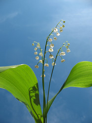 Similar image 1157335