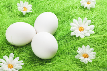 Similar image 1157336