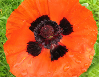 Similar image 1157337