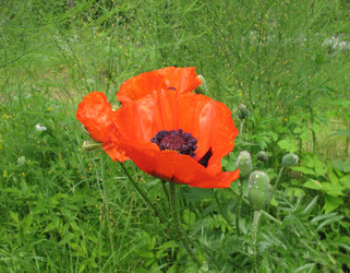 Similar image 1157338