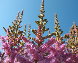 Similar image 1157347