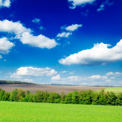 Similar image 1157353