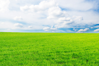 Similar image 1157362