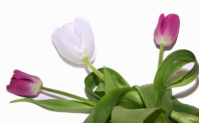 Similar image 1157366