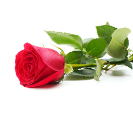 Similar image 1157375