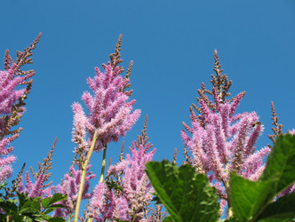 Similar image 1157384