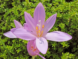 Similar image 1157387