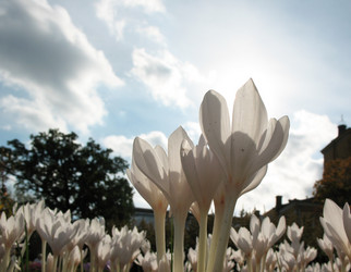 Similar image 1157388