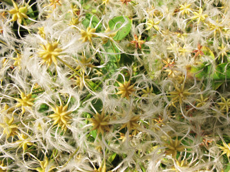 Similar image 1157390