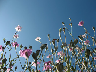 Similar image 1157392