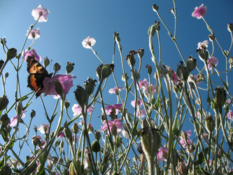 Similar image 1157393